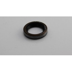 Oil seal 962800049