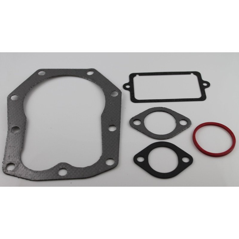 Diaphragm set Briggs & Stratton OVHL