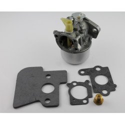 Carburetor Briggs & Stratton 698056