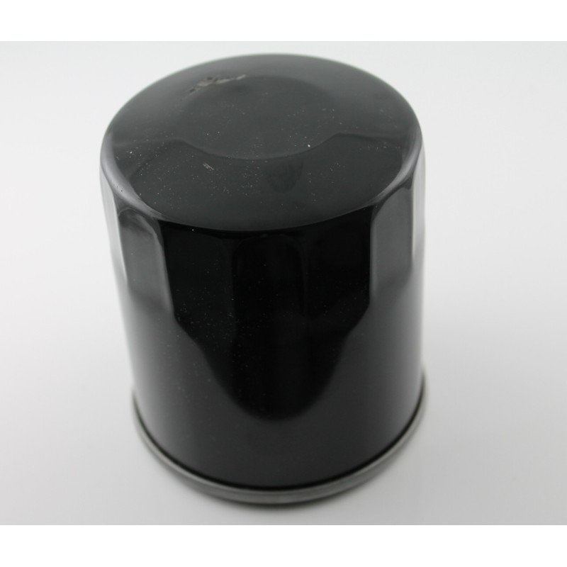 Oilfilter for Briggs & Stratton 491056