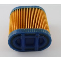 Filtre à air TECUMSEH LEV100, LEV115, LEV120, 36905