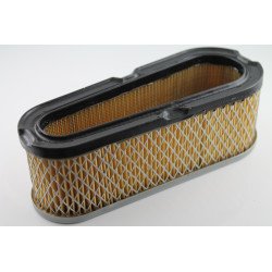 Airfilter BRIGGS & STRATTON 493910, 691667