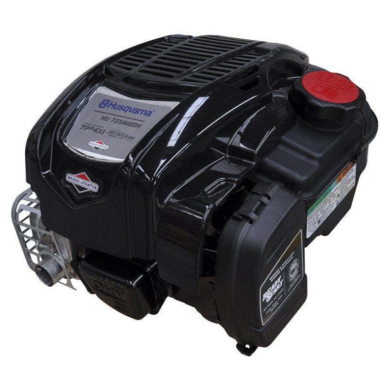 Engine Briggs and Stratton 725 EXI SERIES 163 CC OHV