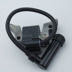 Ignition coil BRIGGS & STRATTON 715118