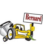 Bernard