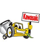Pour Kawasaki